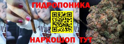 spice Бузулук