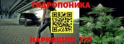 эйфоретик Бугуруслан