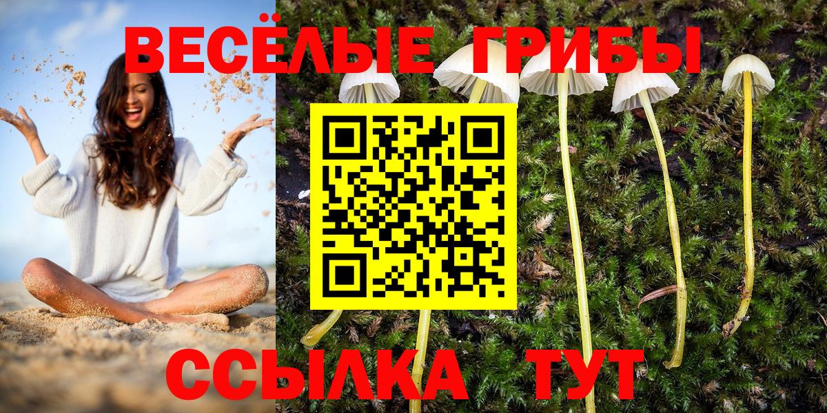 Галлюциногенные грибы мицелий  Псилоцибиновые грибы Cubensis  дарнет шоп  Вход с VPN  Чернушка 