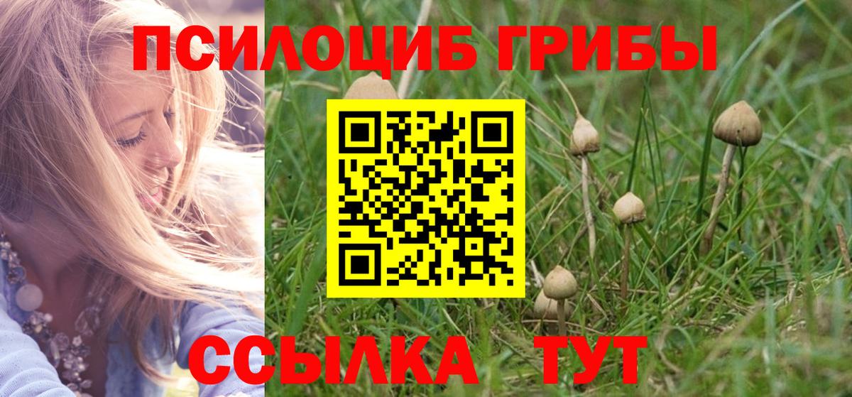 Галлюциногенные грибы прущие грибы Чернушка
